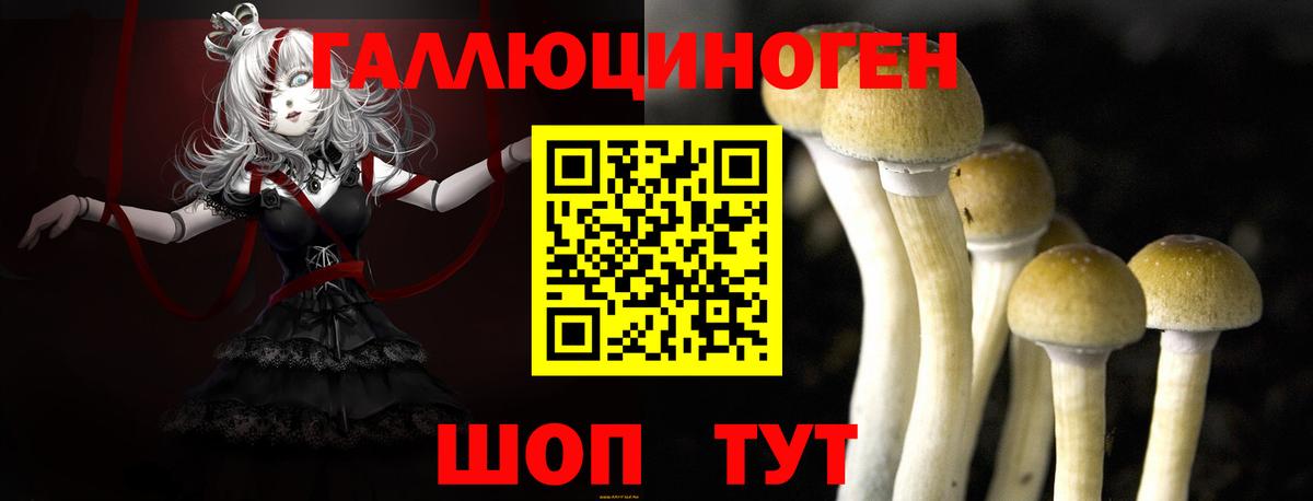 Урус-Мартан  где продают   Вход с VPN  Галлюциногенные грибы Psilocybine cubensis 